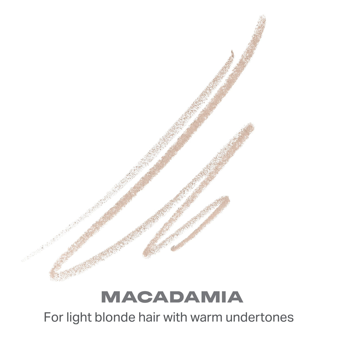 Brow Essentials Bundle