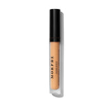 Filter Effect Soft Radiance Concealer