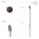 M331 Tapered Blender Eyeshadow Brush