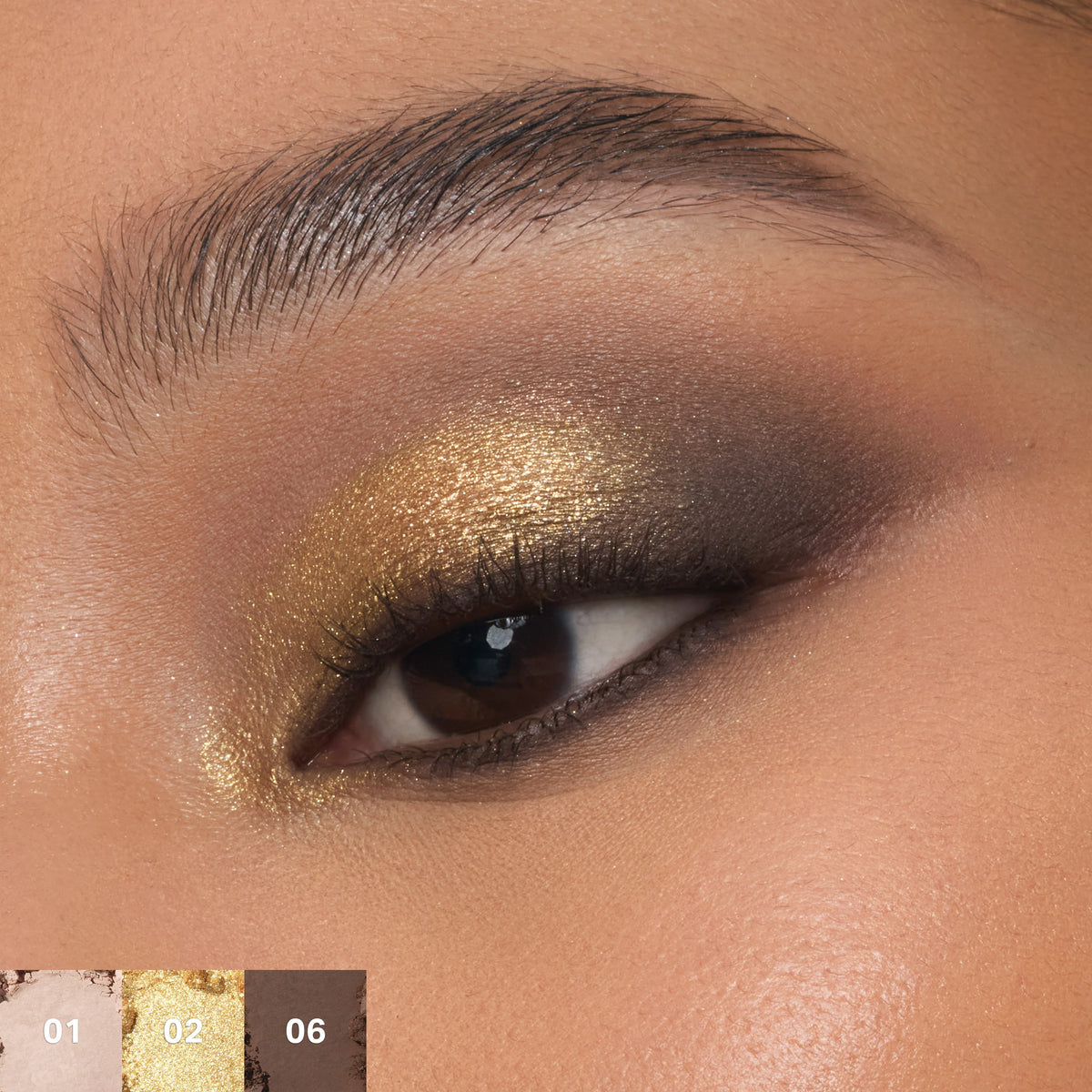 ChromaPlus 6-Pan Eyeshadow Palette