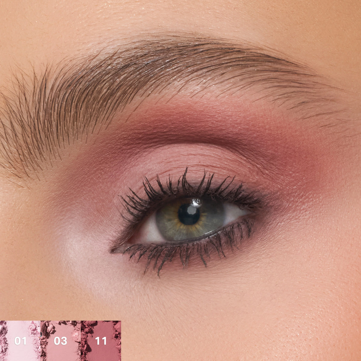 ChromaPlus 12-Pan Eyeshadow Palette